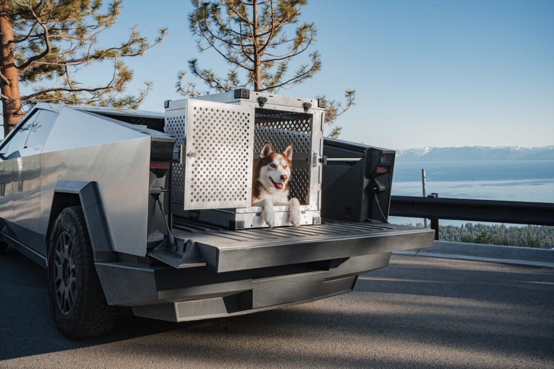 Best Dog Travel Crate