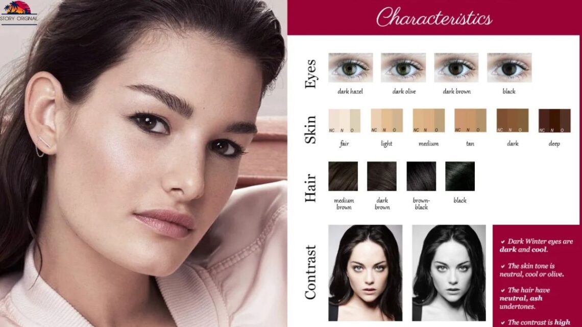 Dark Winter color palette chart with best colors for cool deep skin tones