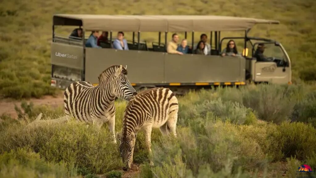 For wildlife-loving families